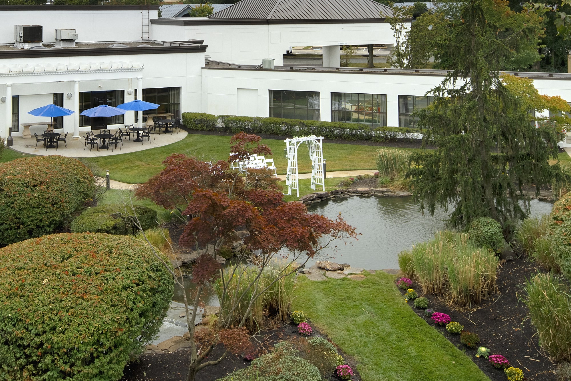 A draped white ceremony arch and rows of chairs on the lawn beside the koi pond